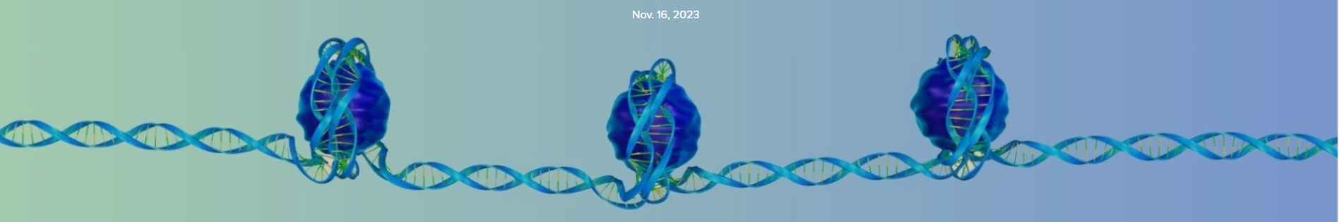 Genomic Tug of War Could Boost Cancer Therapy