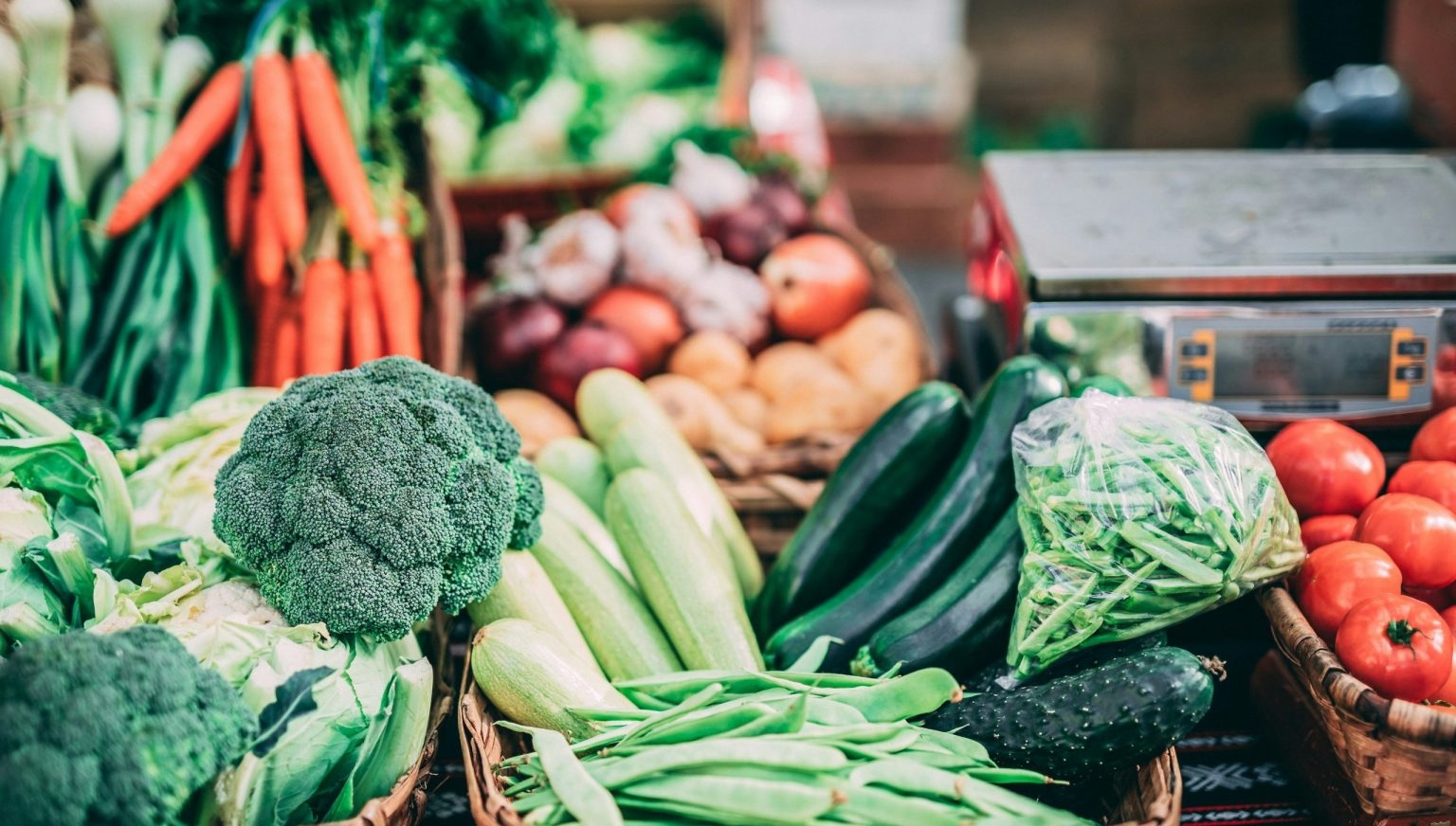 Study reveals surprising link between malnutrition and rising antibiotic resistance