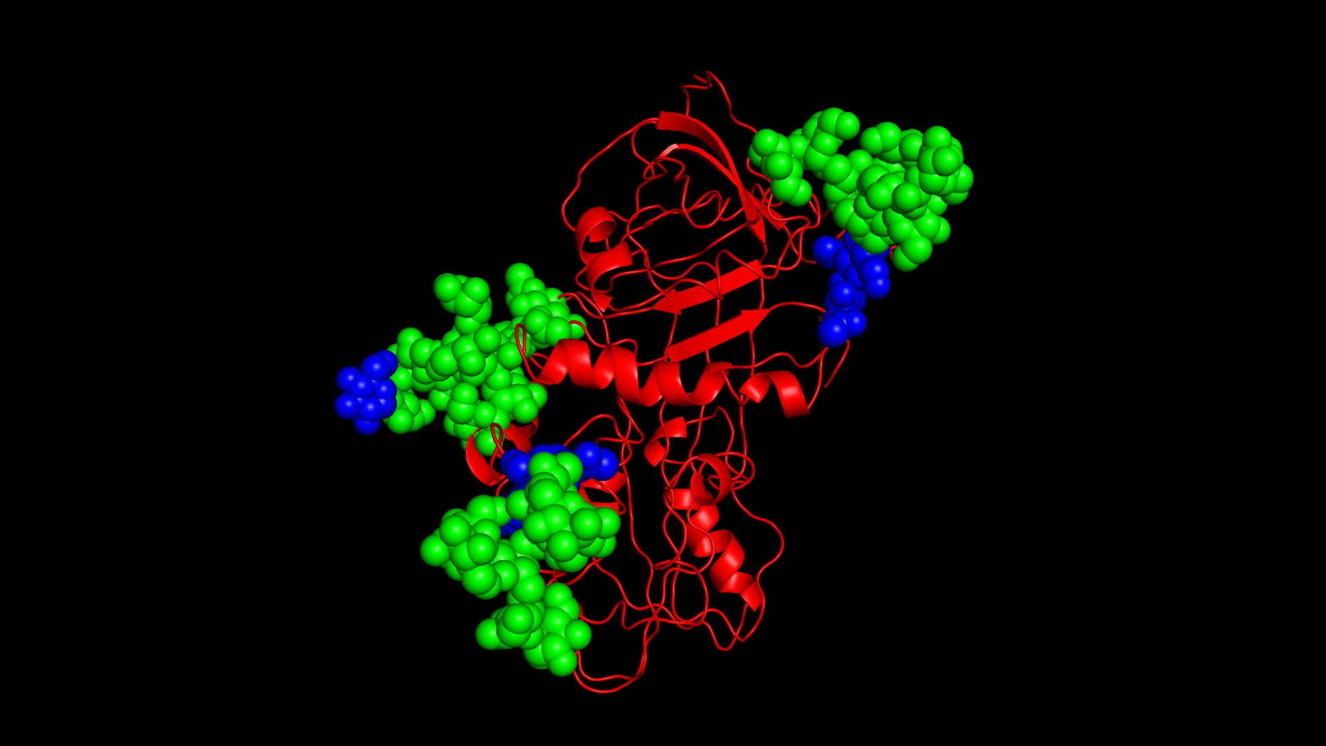 UMASS AMHERST RESEARCHERS CRACK THE CELLULAR CODE ON PROTEIN FOLDING, OPENING NEW THERAPEUTIC AVENUES FOR MANY DISEASES