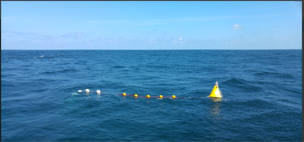 Adapting to hypoxia: Zooplankton influence the efficiency of the biological carbon pump in the Humboldt Current off Peru