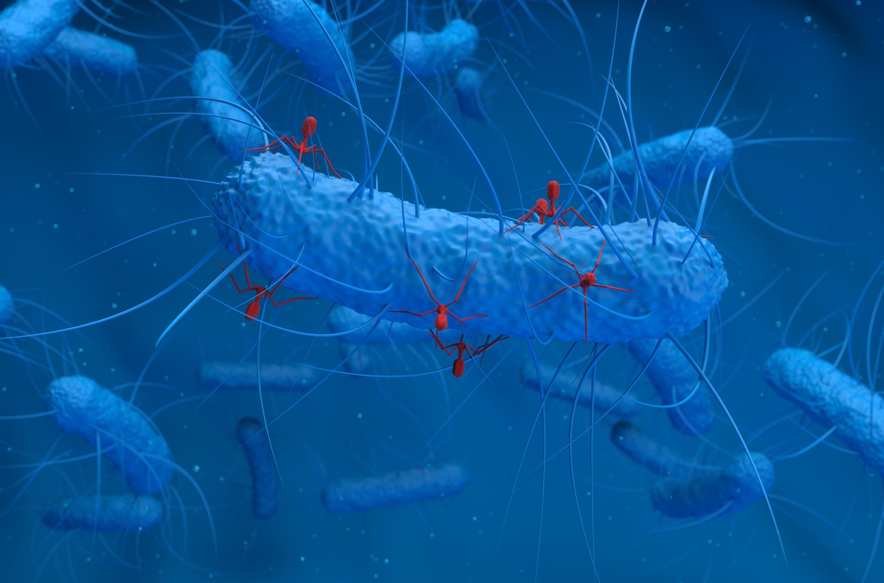 A rare enzyme role change with bacterial defense system assembly