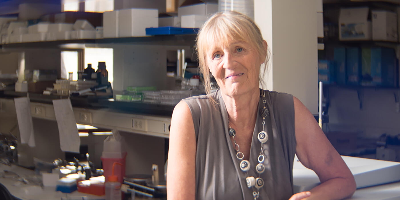 Wistar Scientists Enhance Cell-Based Therapy to Destroy Solid Tumors