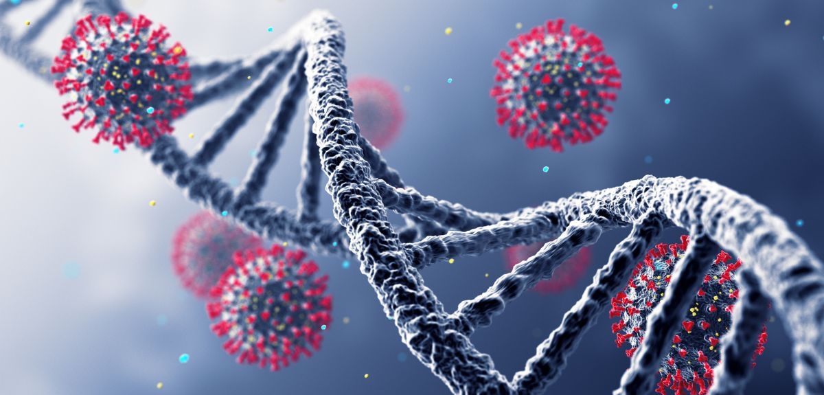 Ancient DNA reveals how a chicken virus evolved to become more deadly
