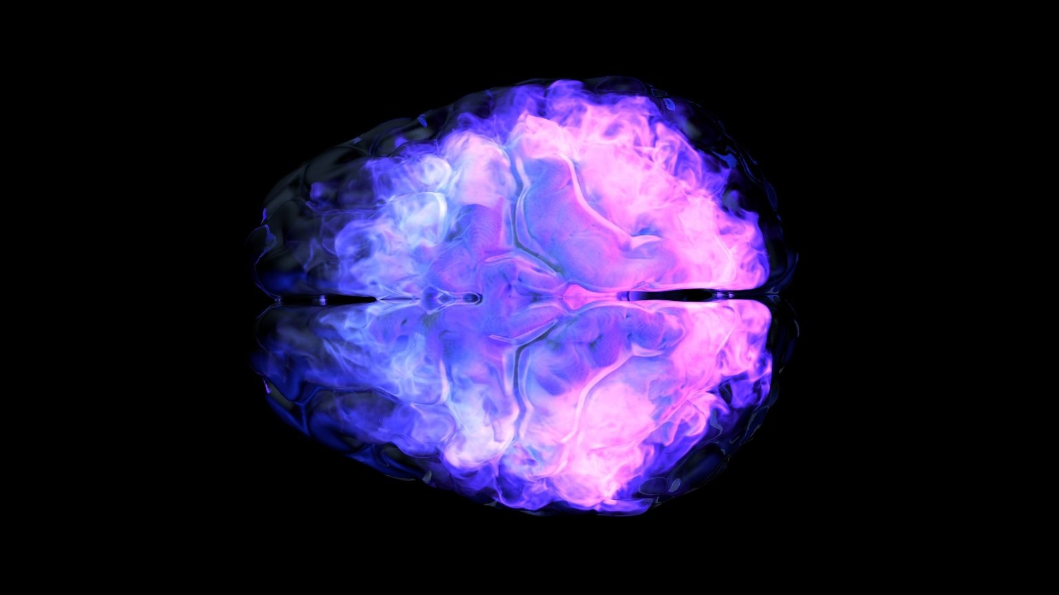 Researchers map how measles virus spreads in human brain