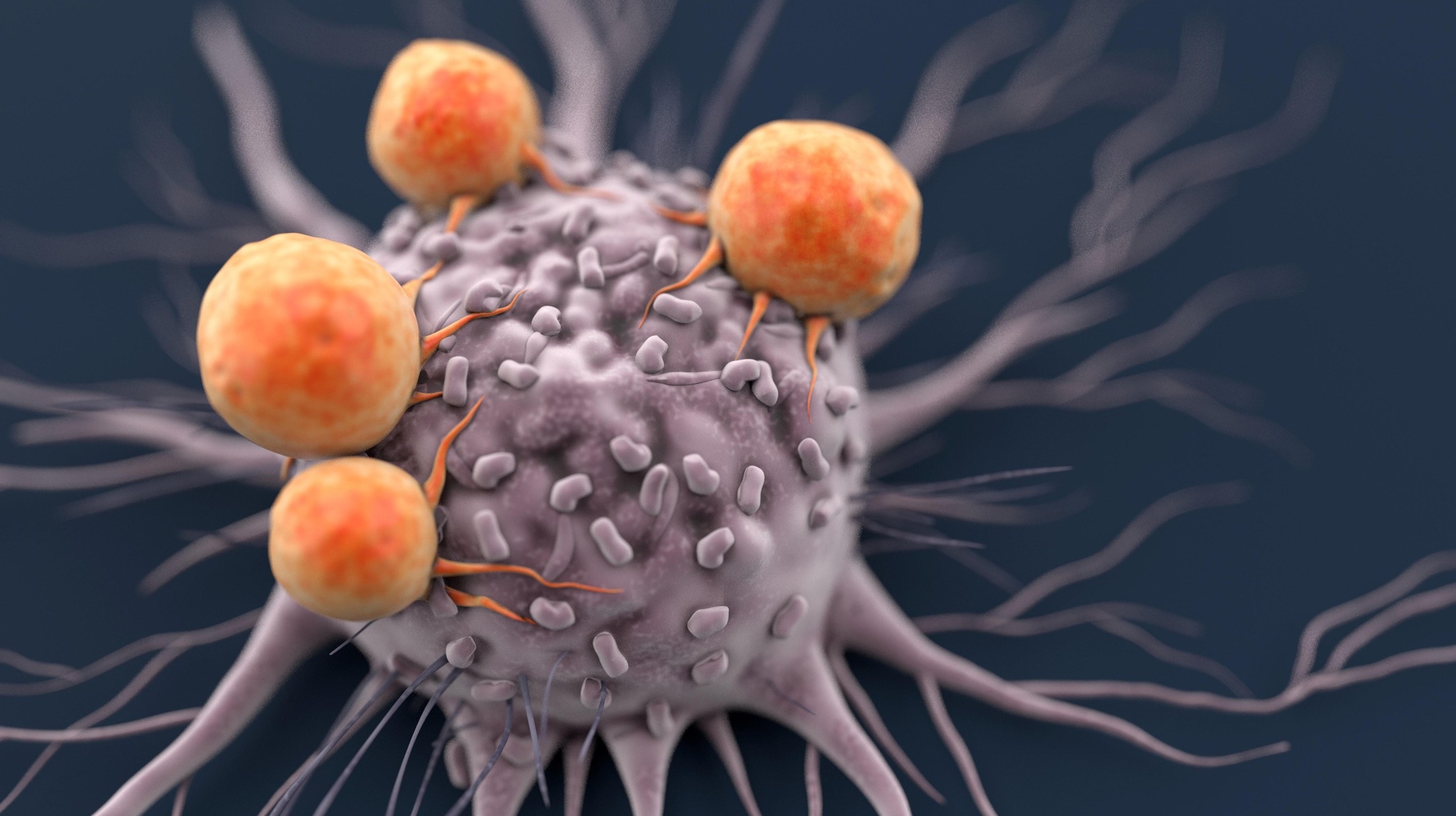 Supercharging CAR-T Cells for Cancer Treatment
