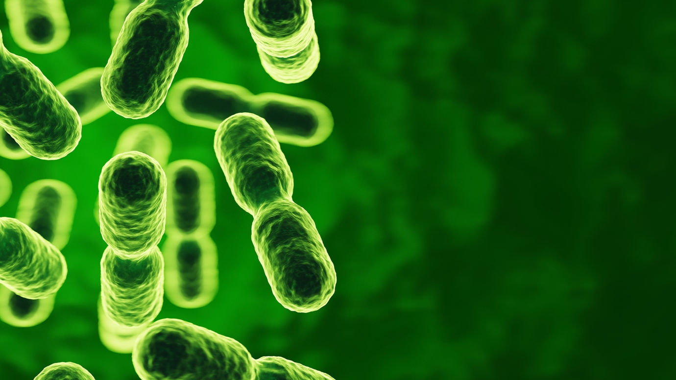 The surprisingly resourceful ways bacteria thrive in the human gut