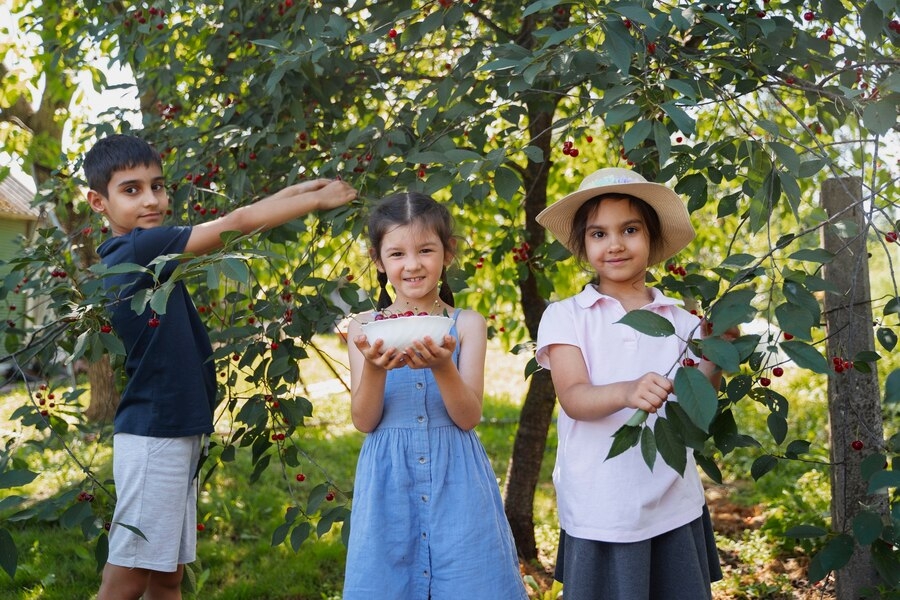Participants in School-Based Gardening and Food Programs Benefit From Lasting Impacts on Dietary Behaviors