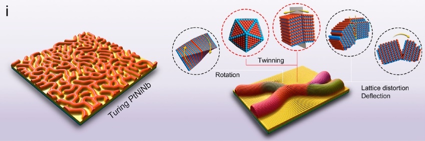 Revolutionizing stable and efficient catalysts with turing structures for hydrogen production