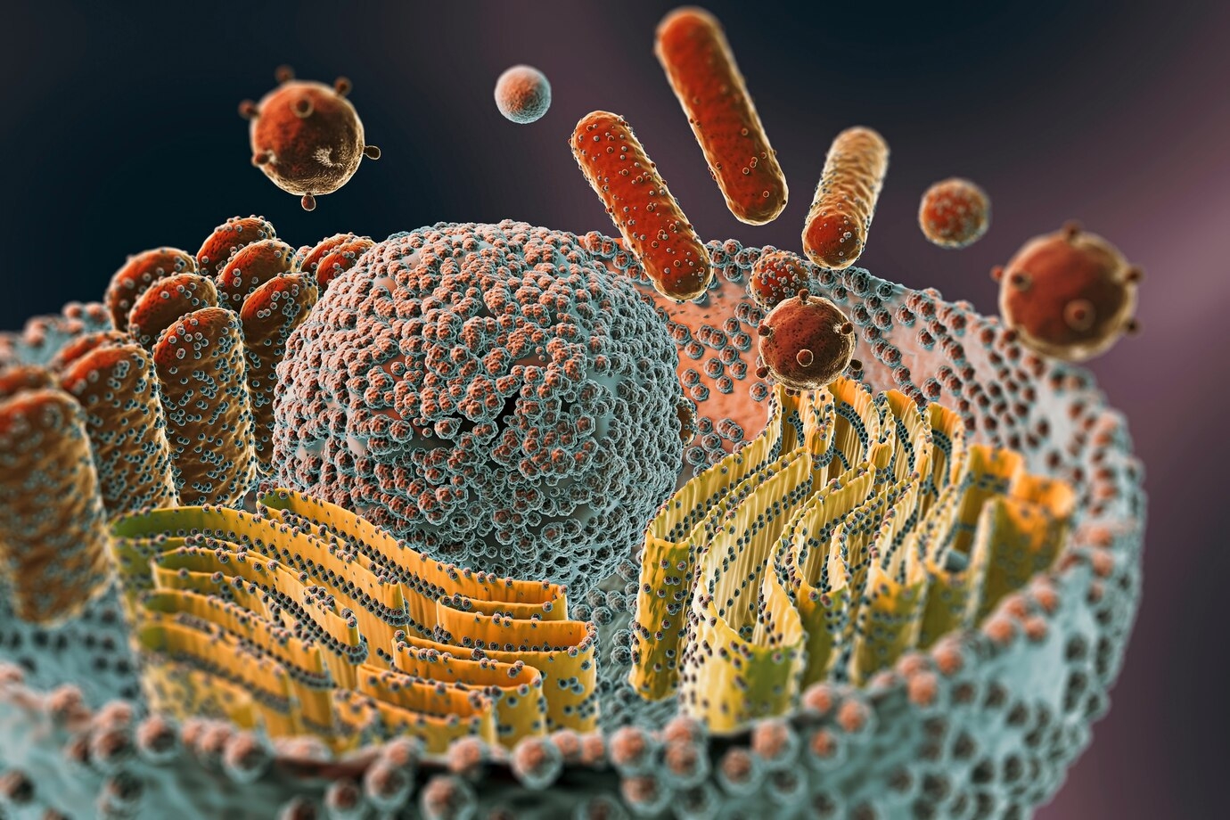 Unraveling the role of supersulfides in regulating mitochondrial function and longevity