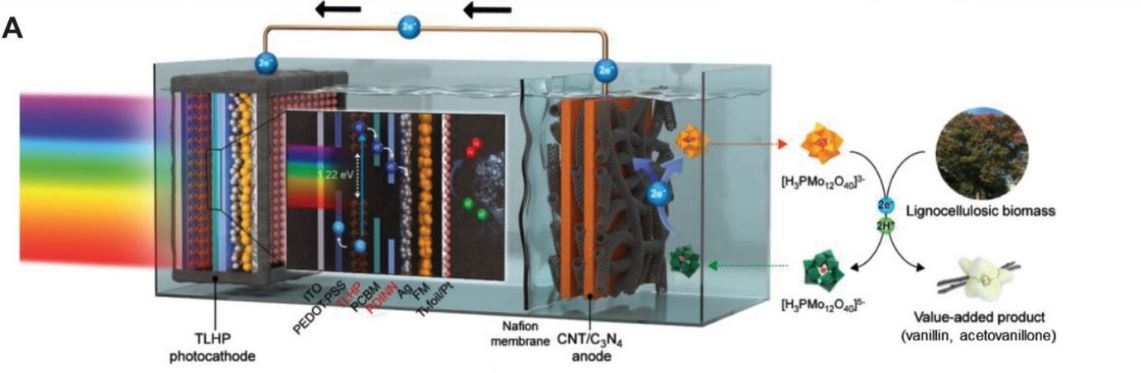 Breakthrough Research Enhances Stability and Efficiency of Perovskite Solar Cells