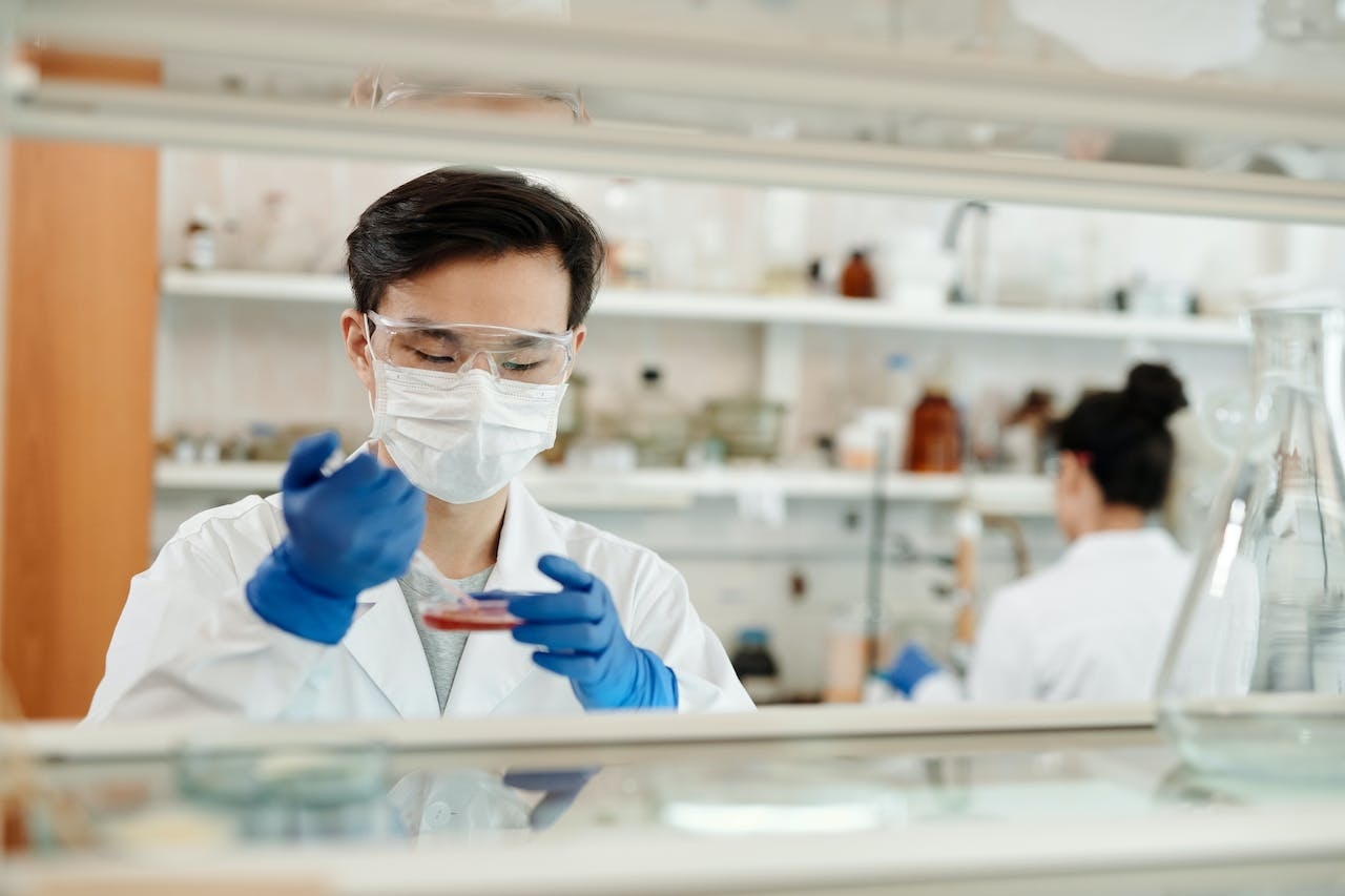 Researchers uncover genetic factors for severe Lassa fever