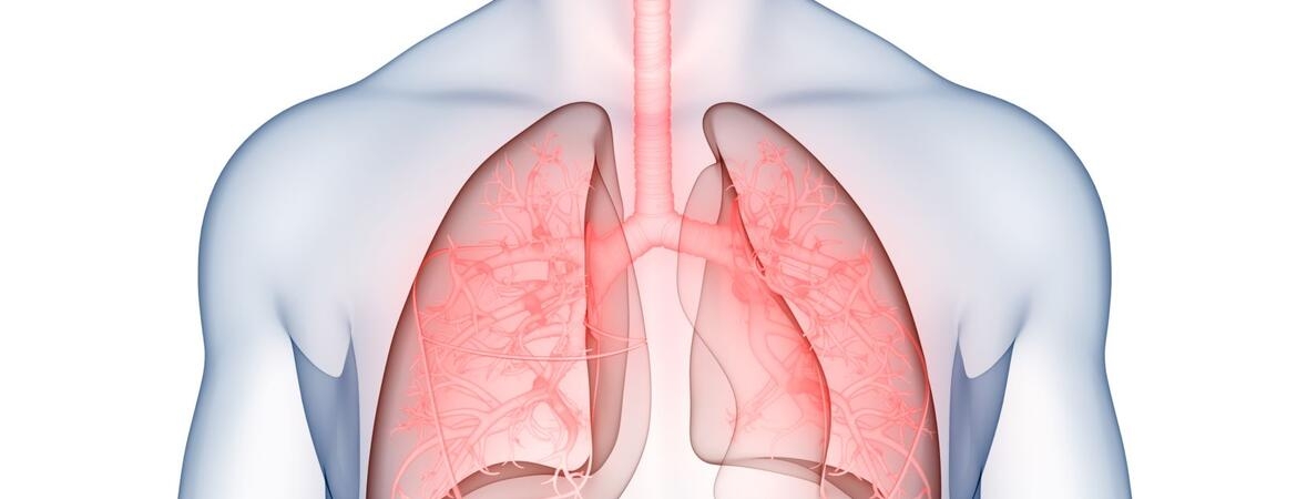 Scientists discover hidden army of lung flu fighters