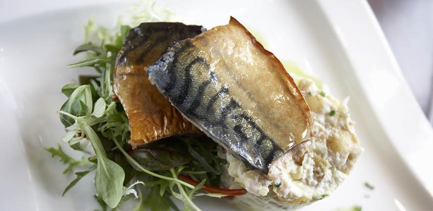 Fish fed to farmed salmon should be part of our diet, too, study suggests