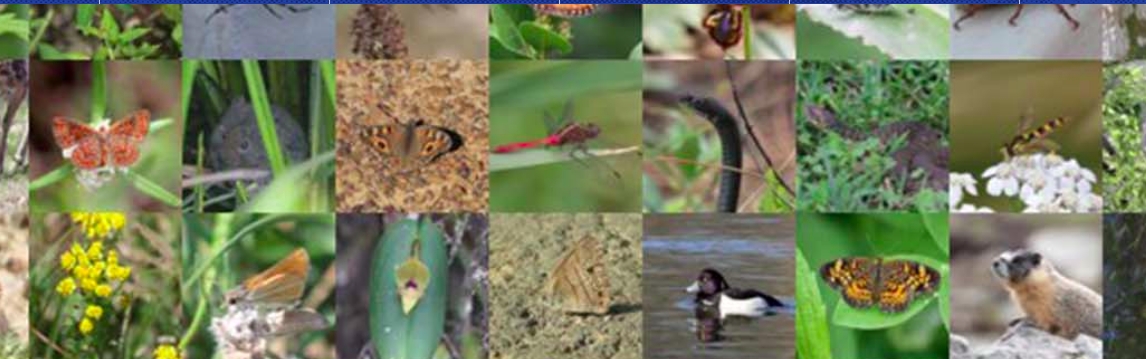 Monitoring and measuring biodiversity require more than just numbers; scientists advocate for change