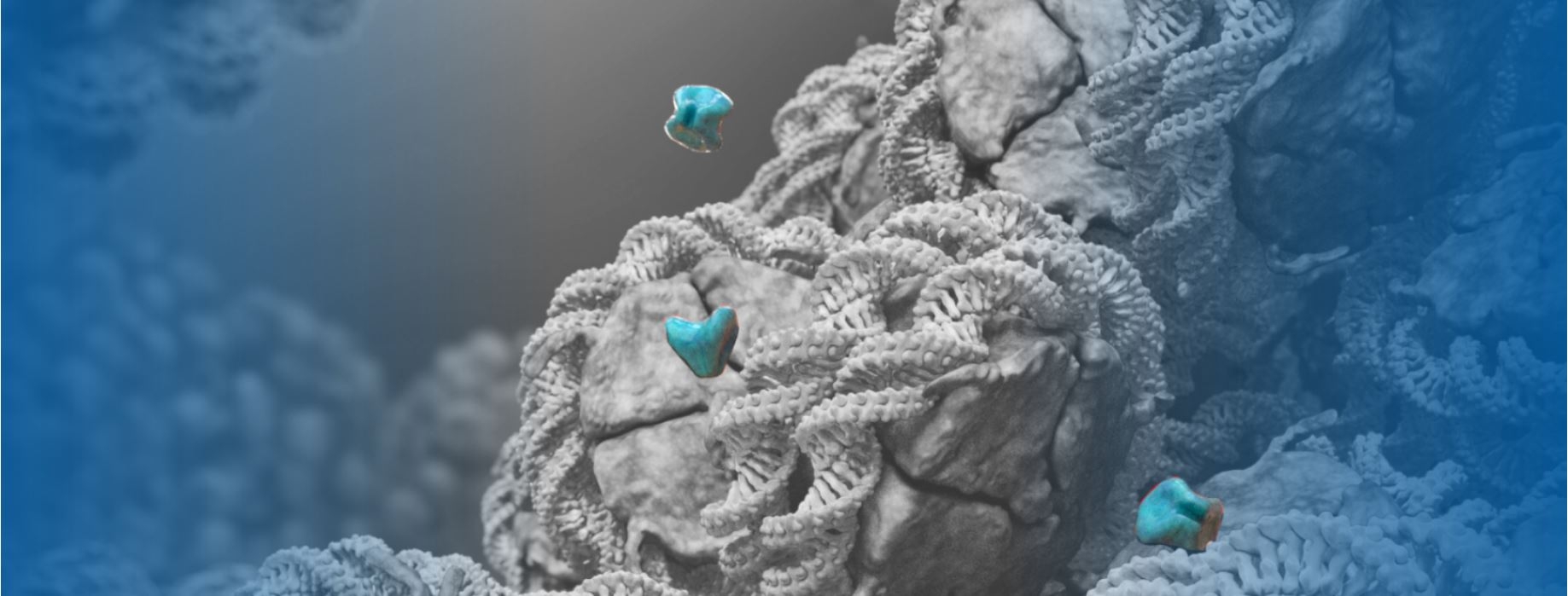 Combining epigenetic cancer medications may have benefit for colorectal cancers and other tumor types