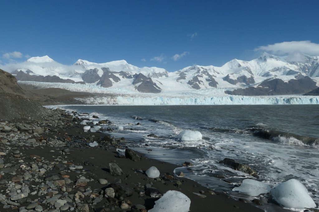 Melting glaciers provide new ground for invasive species