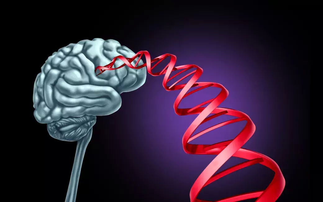 Mitochondrial roles in antiviral immunity modify manifestations of neurological diseases