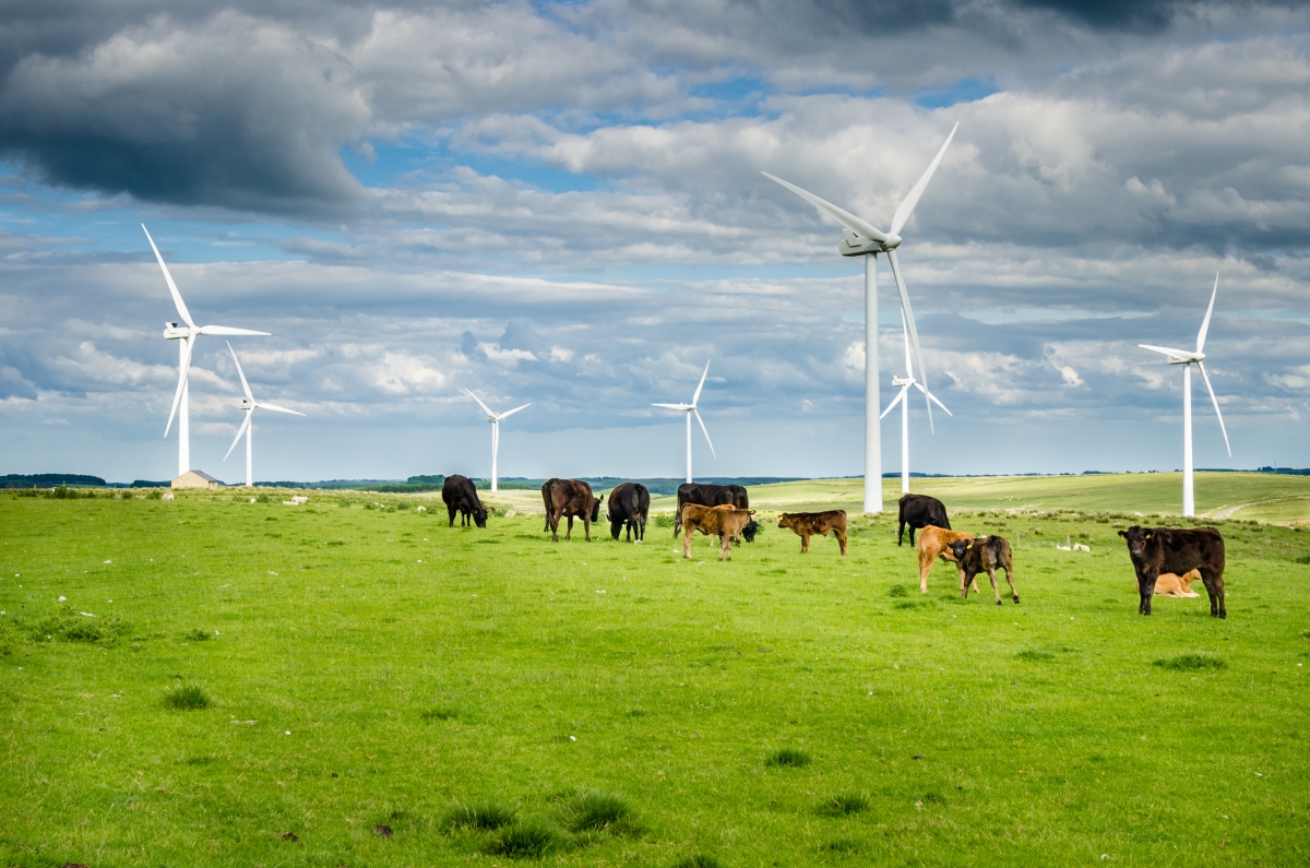 Clearing the air: wind farms more land efficient than previously thought