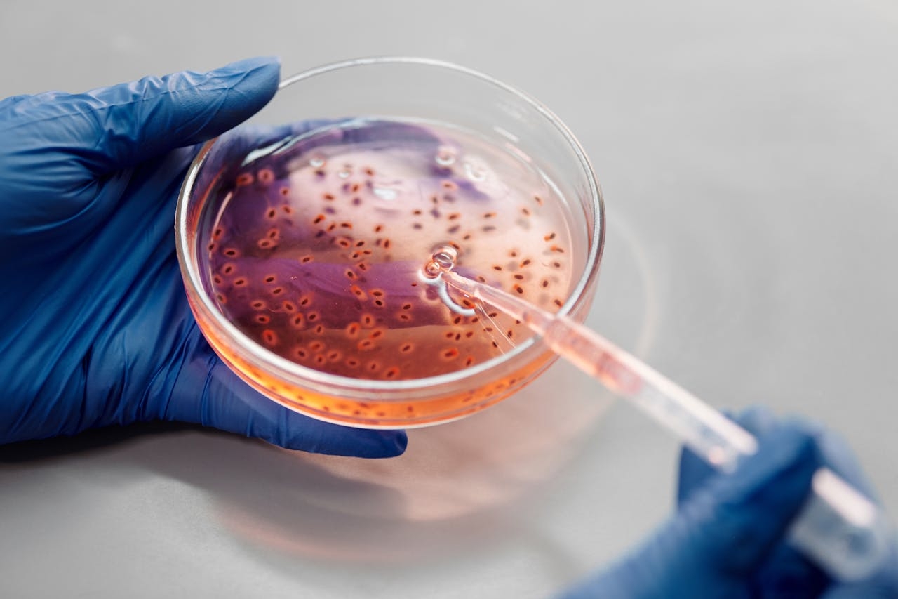 Study details a common bacterial defense against viral infection