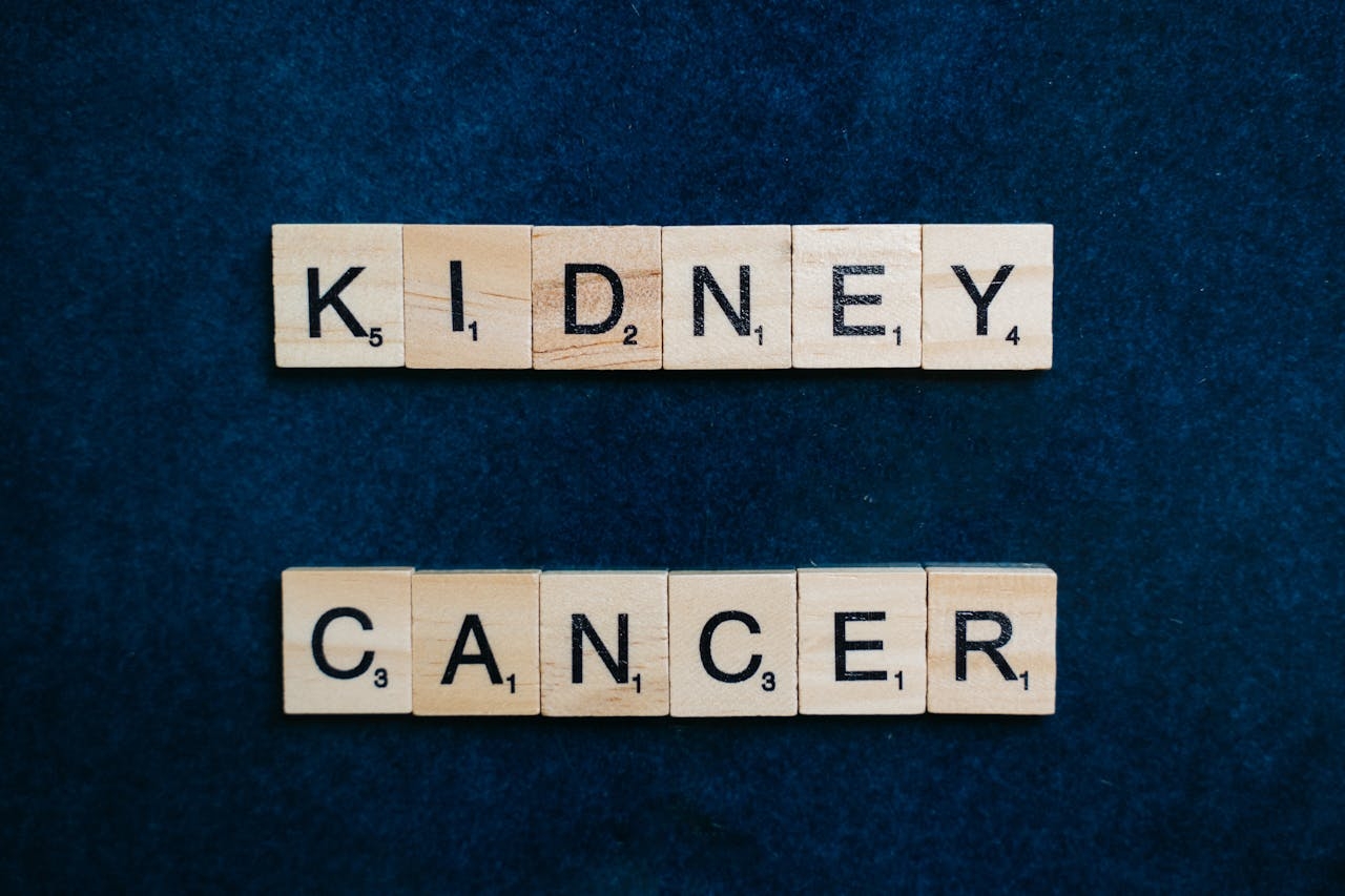 Wistar Scientists Develop Novel Antibody Treatment for Kidney Cancer