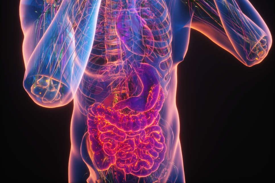 Putting the Brakes on Chronic Inflammation