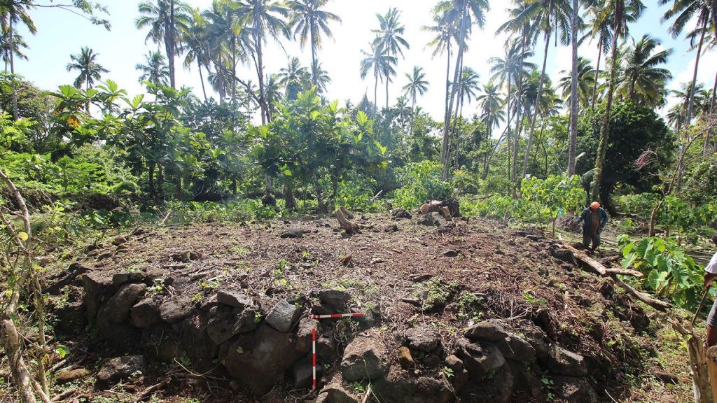 Rare Sāmoan discovery offers clues to origins of inequality