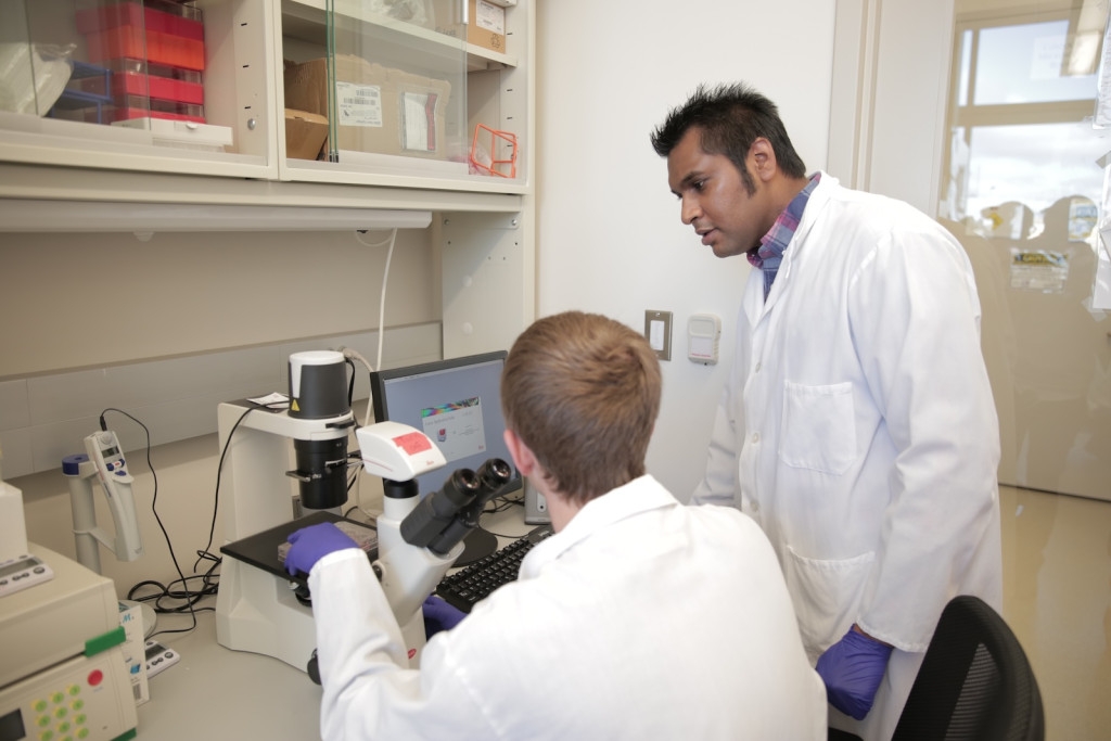 Serendipity reveals new method to fight cancer with T cells
