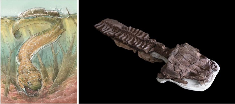 Giant salamander-like creature was a top predator in the ice age before the dinosaurs