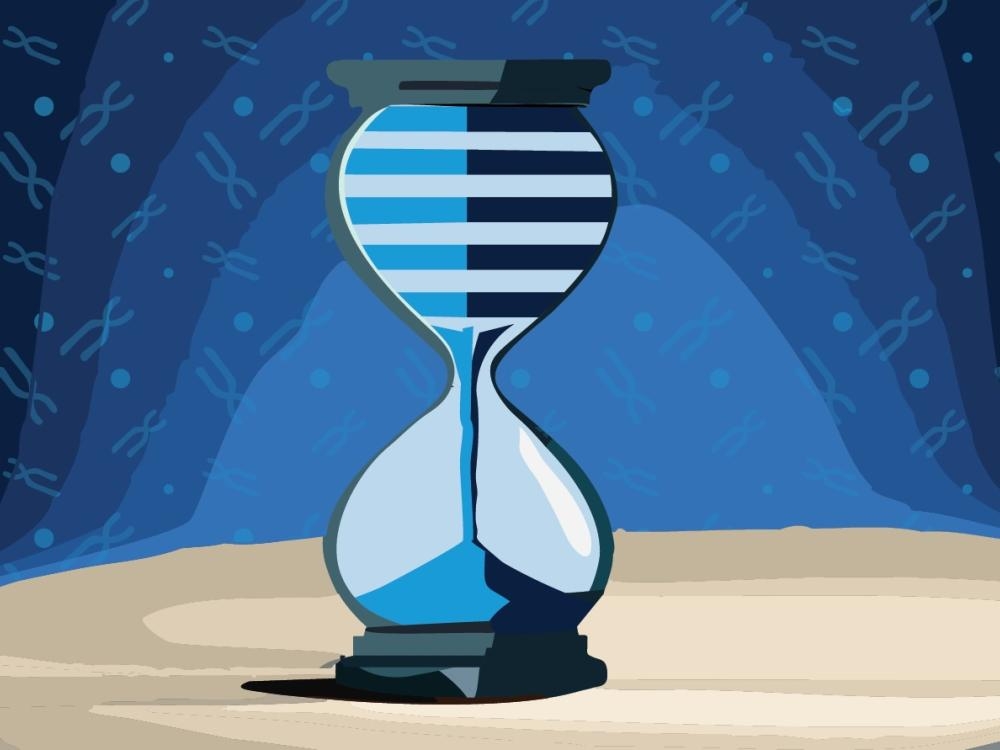 Calorie restriction study reveals complexities in how diet impacts aging