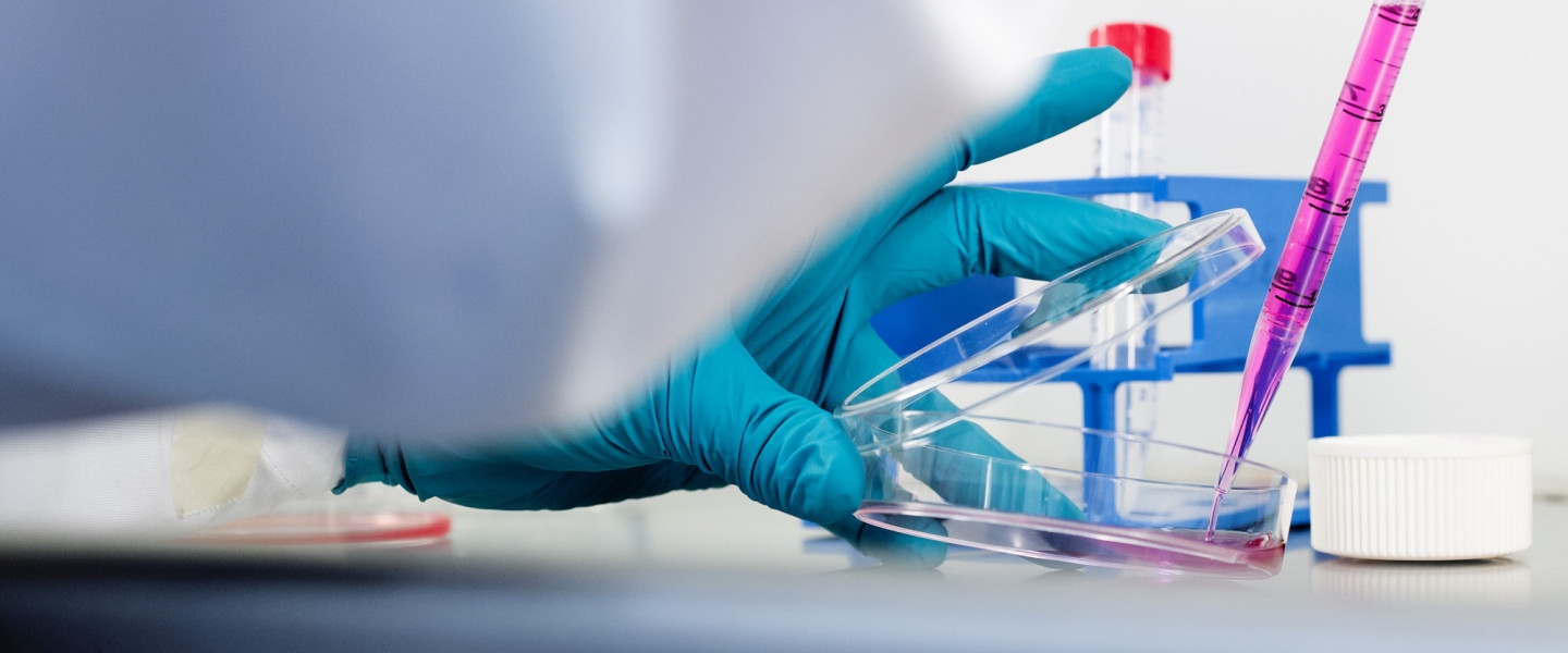 New insight into combatting drug-resistant prostate cancer