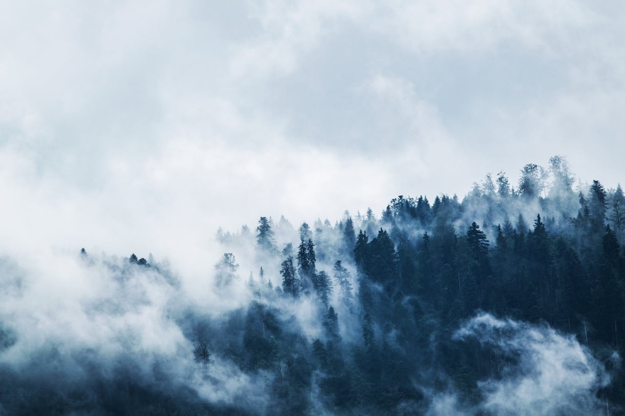 GIST Scientists Navigate the Paradox of Extreme Cold Events in a Warming World