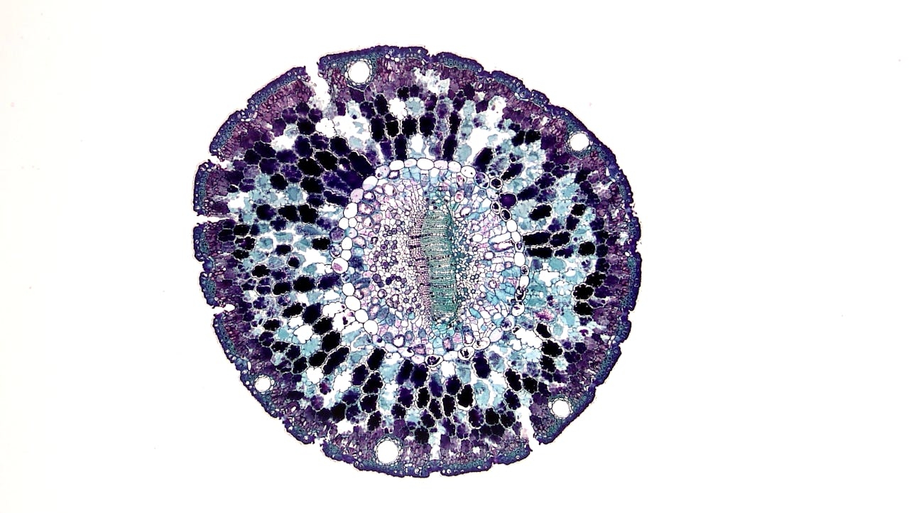 How cells are ahead of the curve