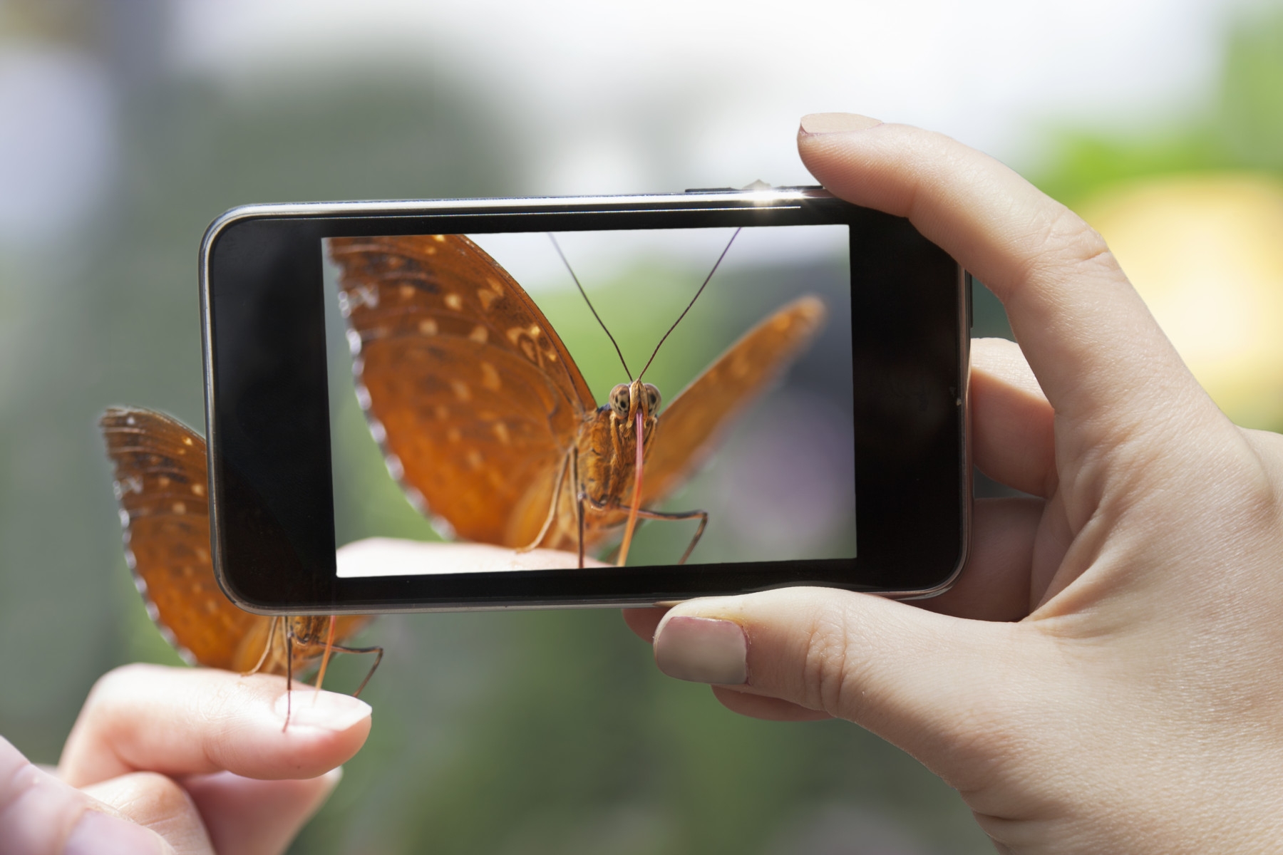 The role of machine learning and computer vision in Imageomics