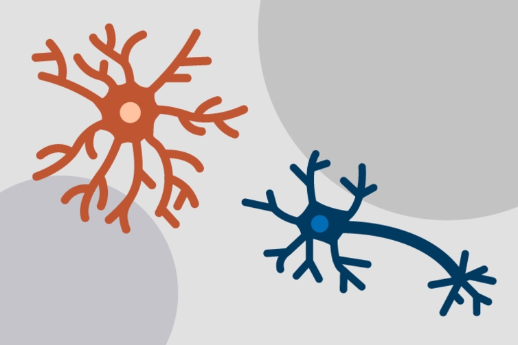 Schizophrenia and aging may share a common biological basis