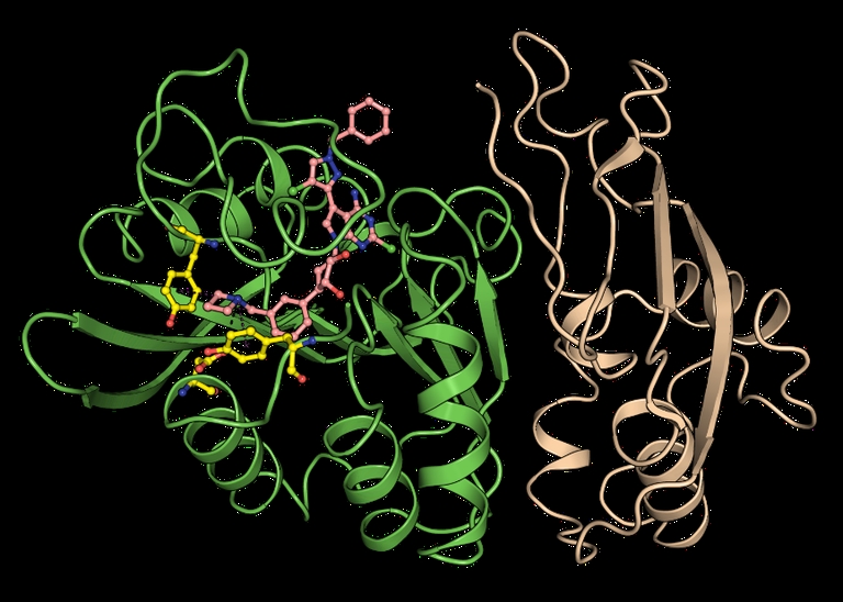 Prostate cancer: Newly-developed inhibitor shows massive potential