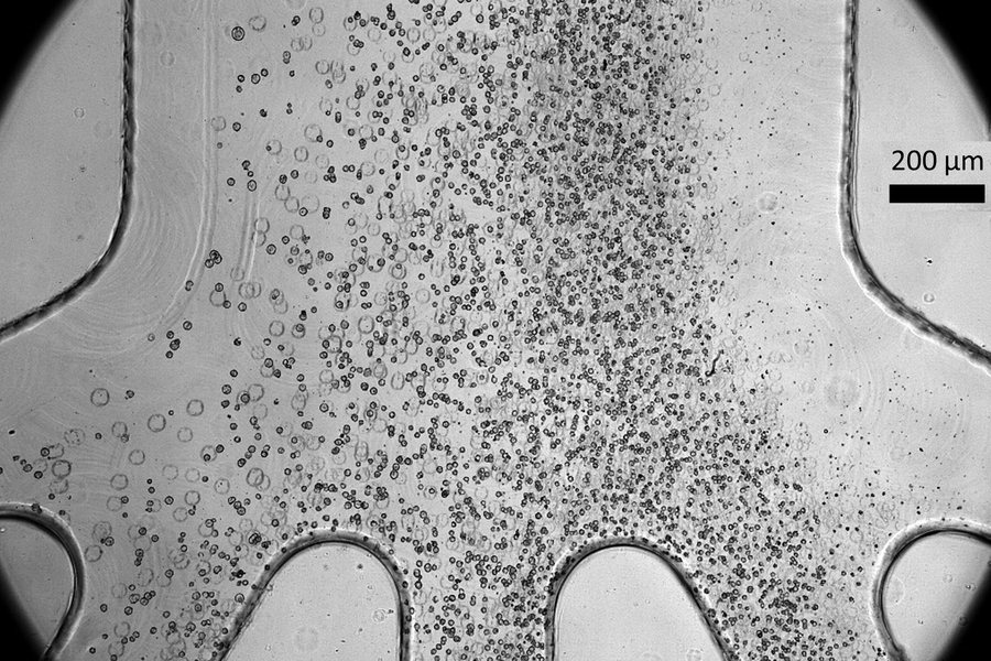 Scientists develop a low-cost device to make cell therapy safer