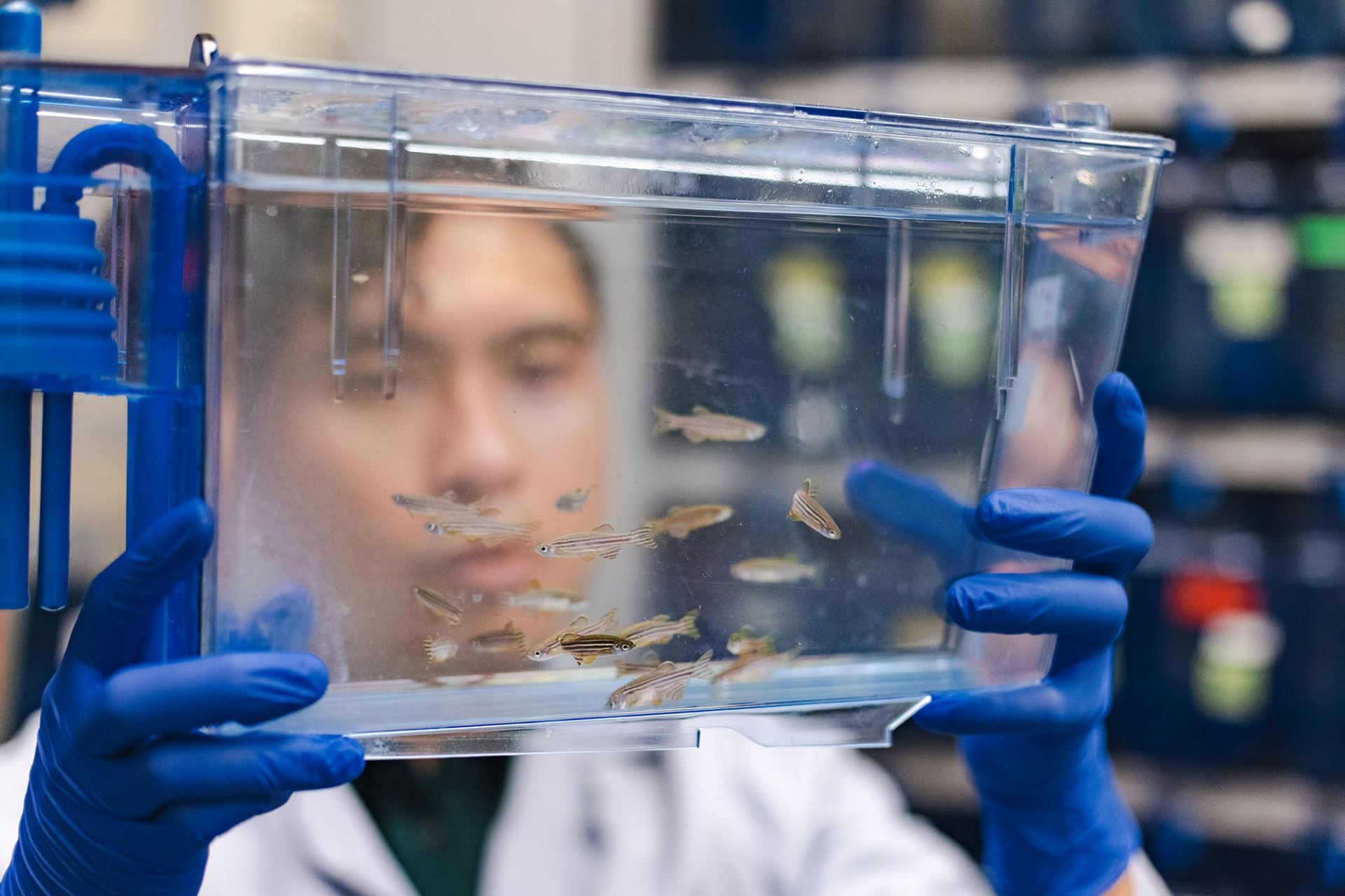Team Creates Synthetic Enzymes To Unravel Molecular Mysteries