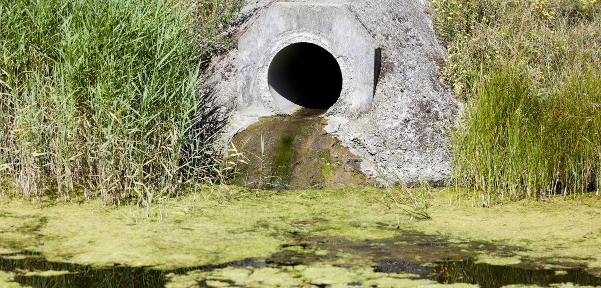 New study finds that sewage release is worse for rivers than agriculture