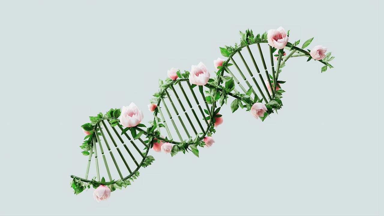 Nanopore sequencing and DNA barcoding method gives hope of personalised medicine
