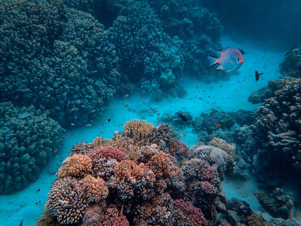 Traditional methods cannot give us the insights we need to understand changing ecosystems