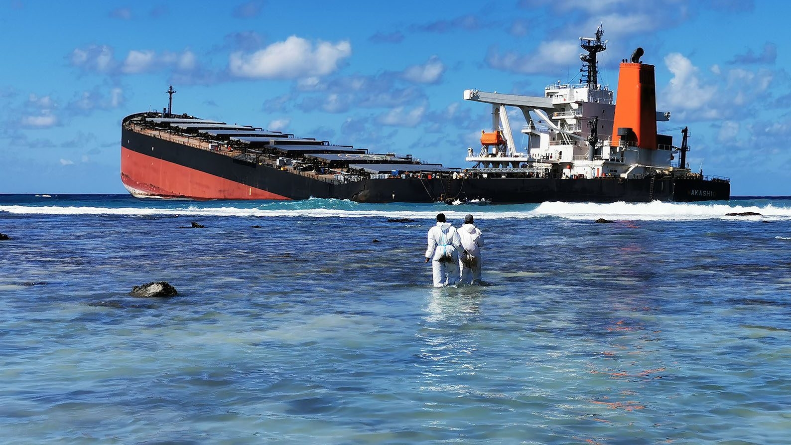 Oil spill still contaminating sensitive Mauritius mangroves three years on