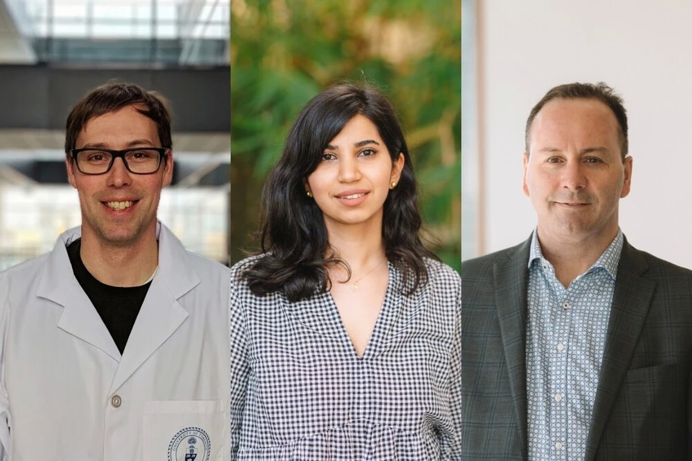 Researchers home in on tumour vulnerabilities to improve odds of treating glioblastoma