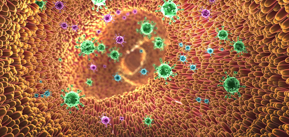 New study shows how salmonella tricks gut defenses to cause infection