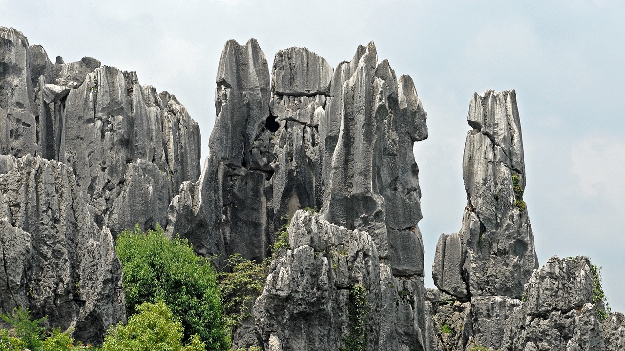 New study reveals half a century of change on Britain’s iconic limestone pavements