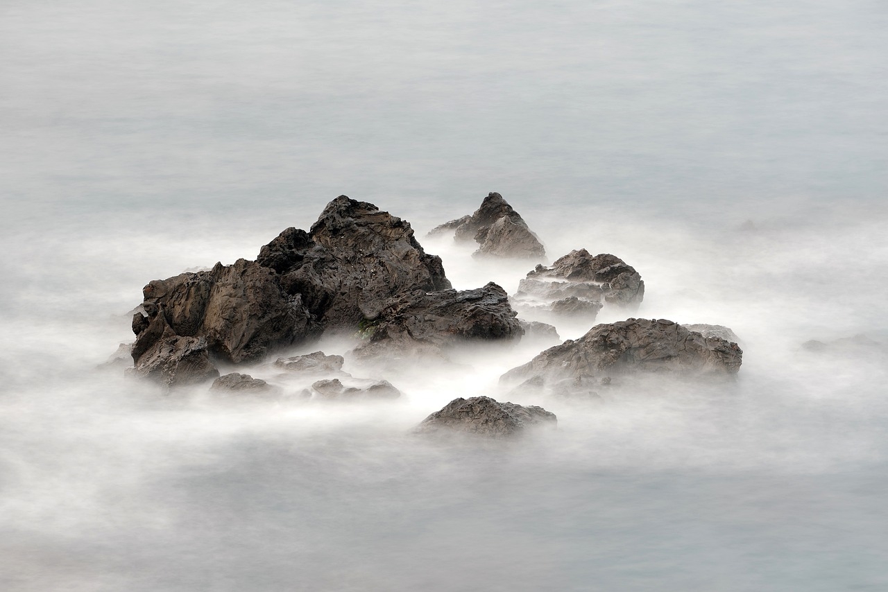 Prehistoric rock in Japan reveals clues to ocean extinction event