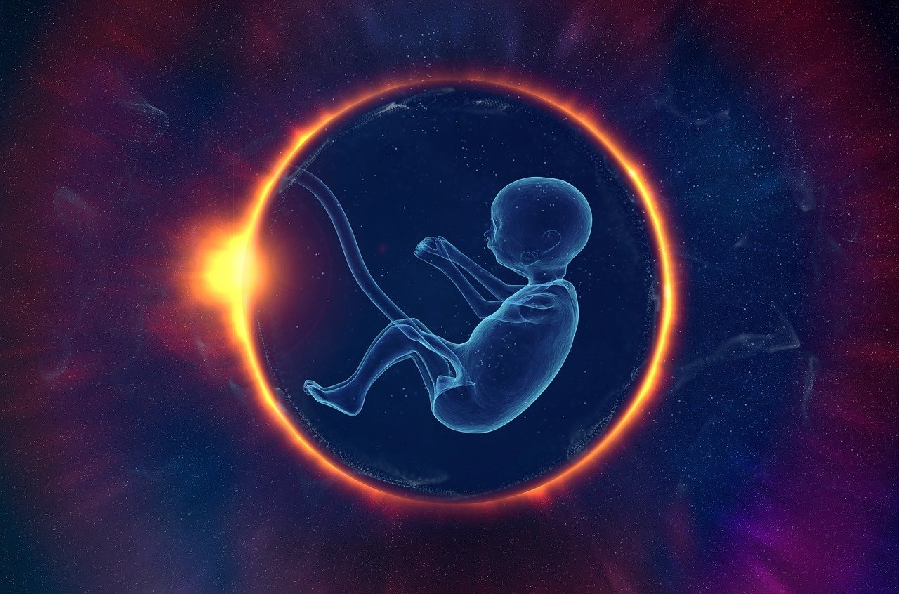 Foetal defence: Duke-NUS study reveals early immune protection in the womb