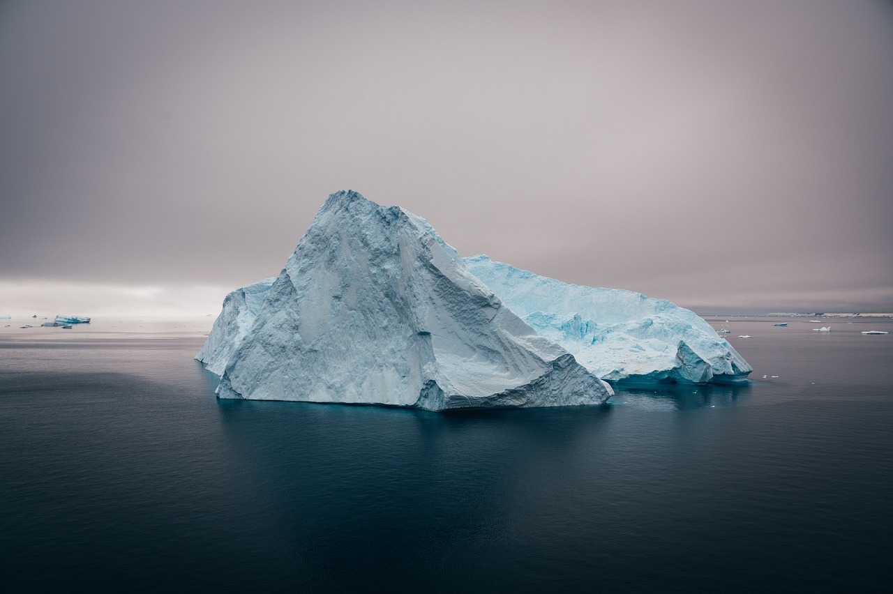 Seals strategically scoot around the seas on icebergs