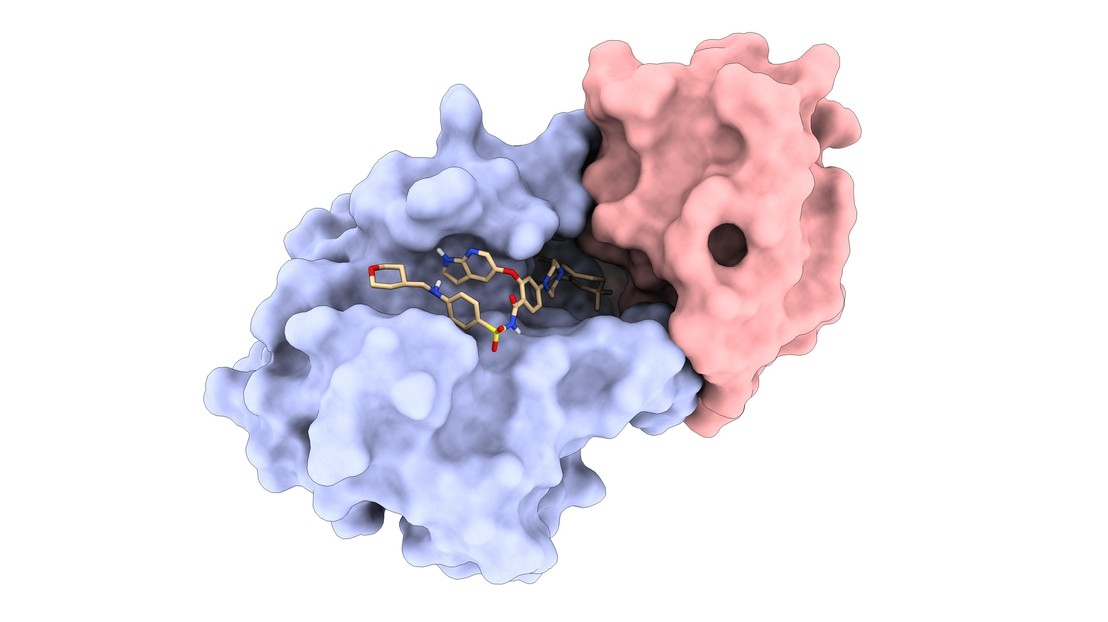 A deep learning pipeline for controlling protein interactions