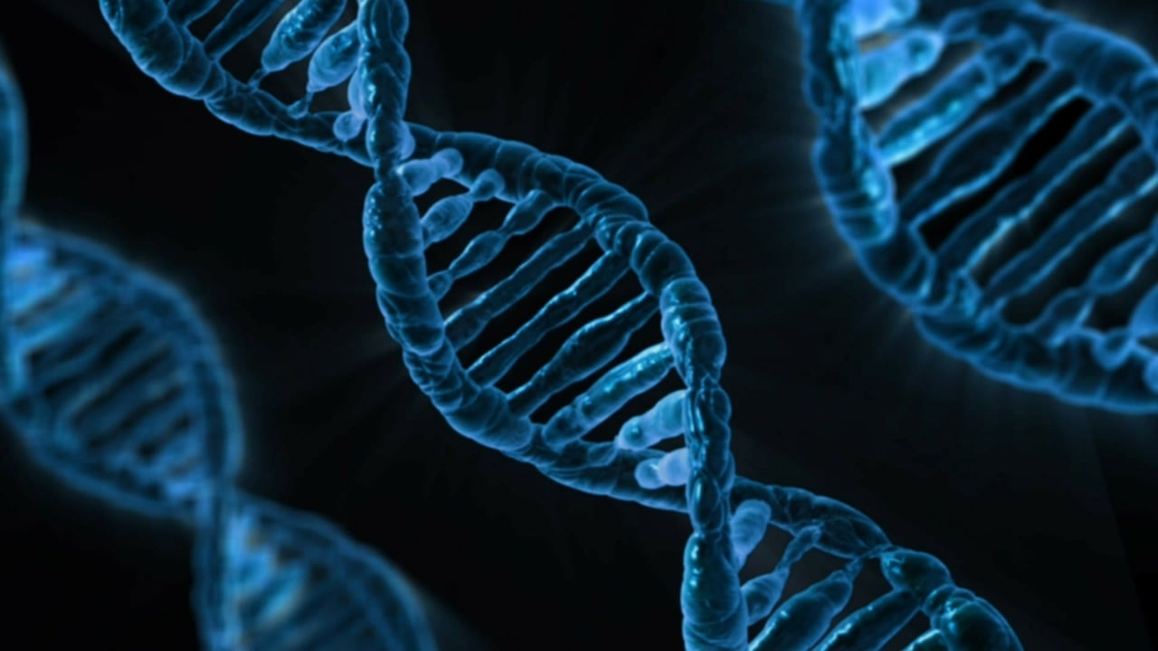 Tumour DNA in the blood can predict lung cancer outcome