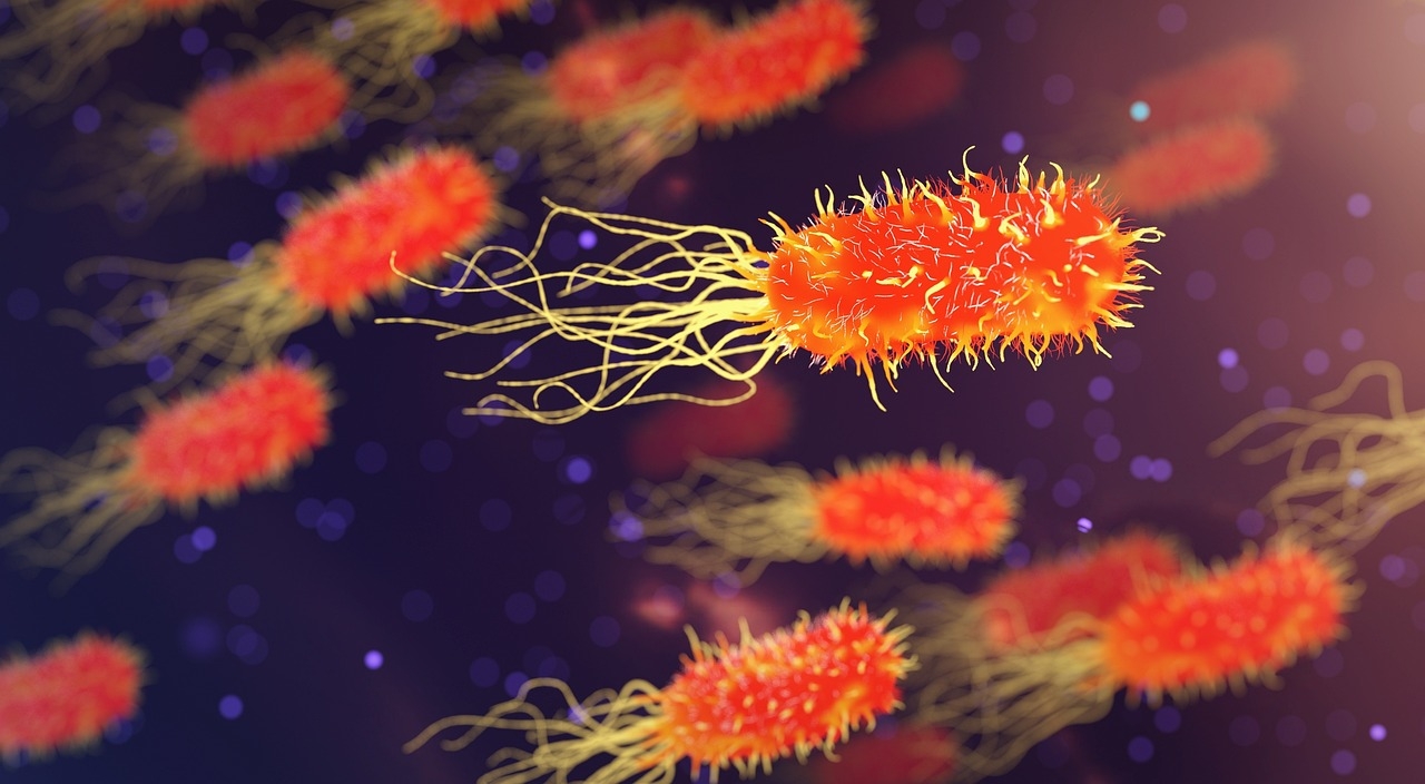 Some Bacteria Evolve Like Clockwork With the Seasons